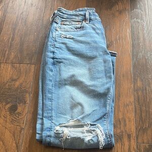 American Eagle Curvy Straight